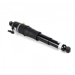 AS-3066