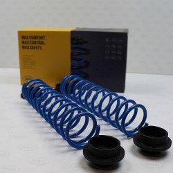 Molle Carico Posteriori Suzuki Ignis modello MF