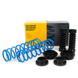 Molle Carico Posteriori Renault Safrane
