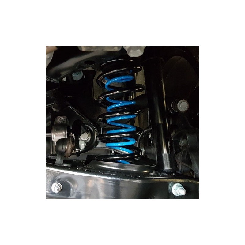 Molle Posteriori Fiat Palio Weekend