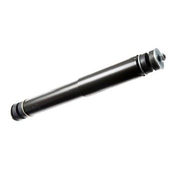 T1034G
