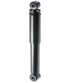 T1067G